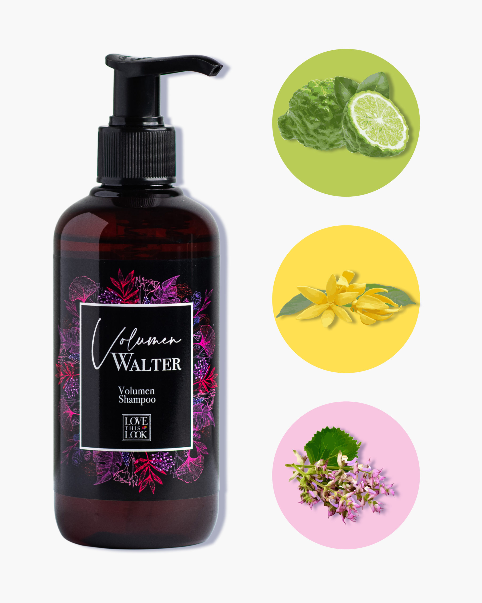 Volumen Walter Volumen Shampoo – Bild 2